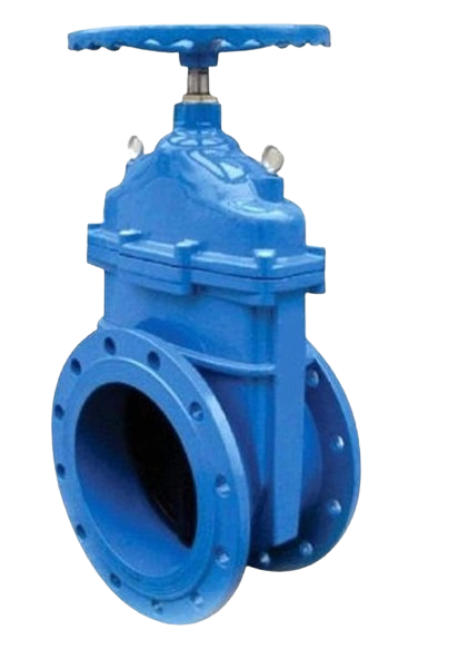Sluice Valve